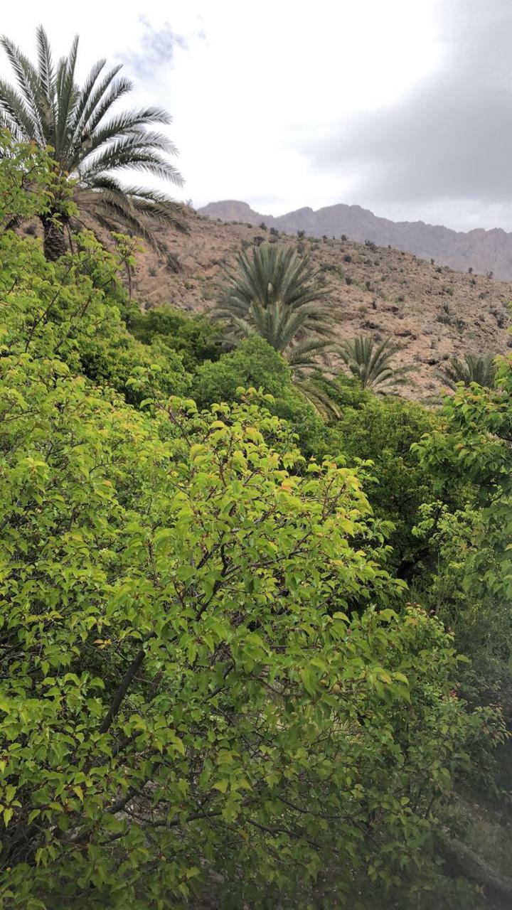 Wakan Village garden oasis