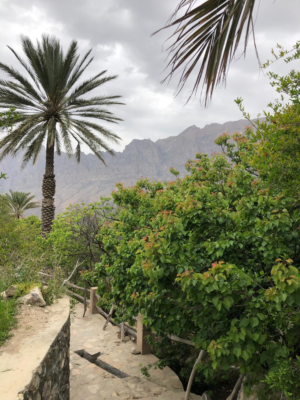 Wakan Village fruits